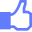 Facebook Like icon